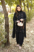 Roshni 3PC