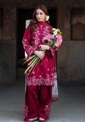 Ameera 3PC